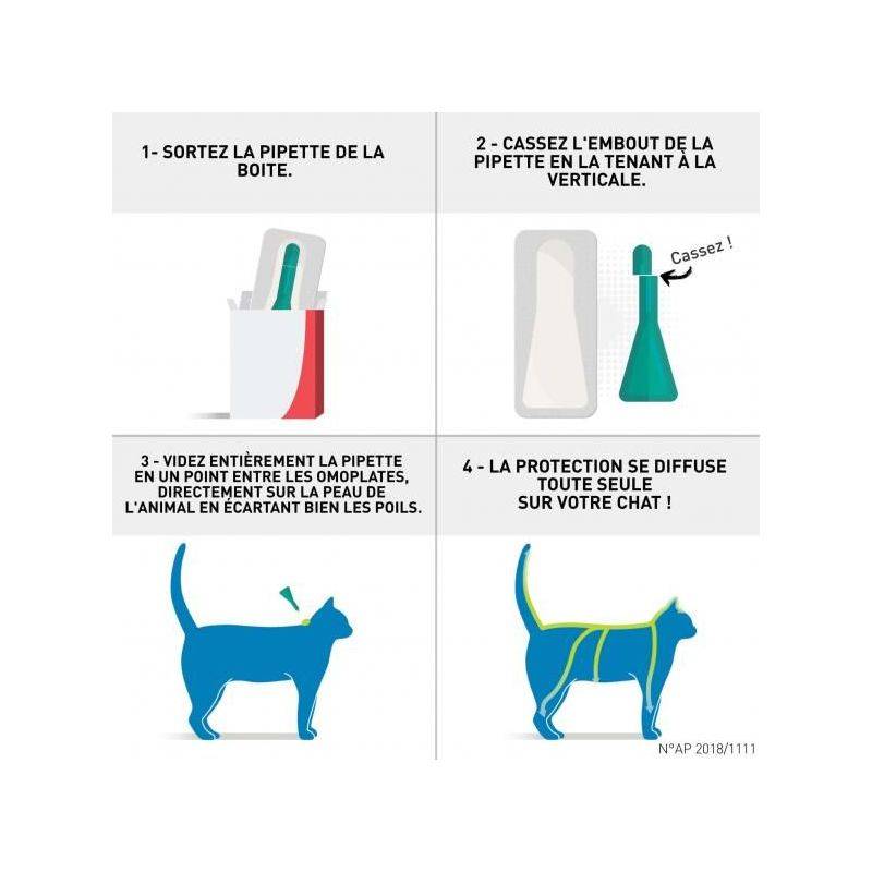 Frontline - FRONTLINE CHAT SPOT ON -  BOEHRINGER 1 pipette - Image 2