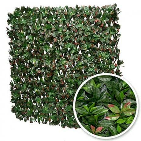 James Grass - France Green - Treillis extensible feuillage photinia, Long 24 m, Hauteur 1 m - Image 1