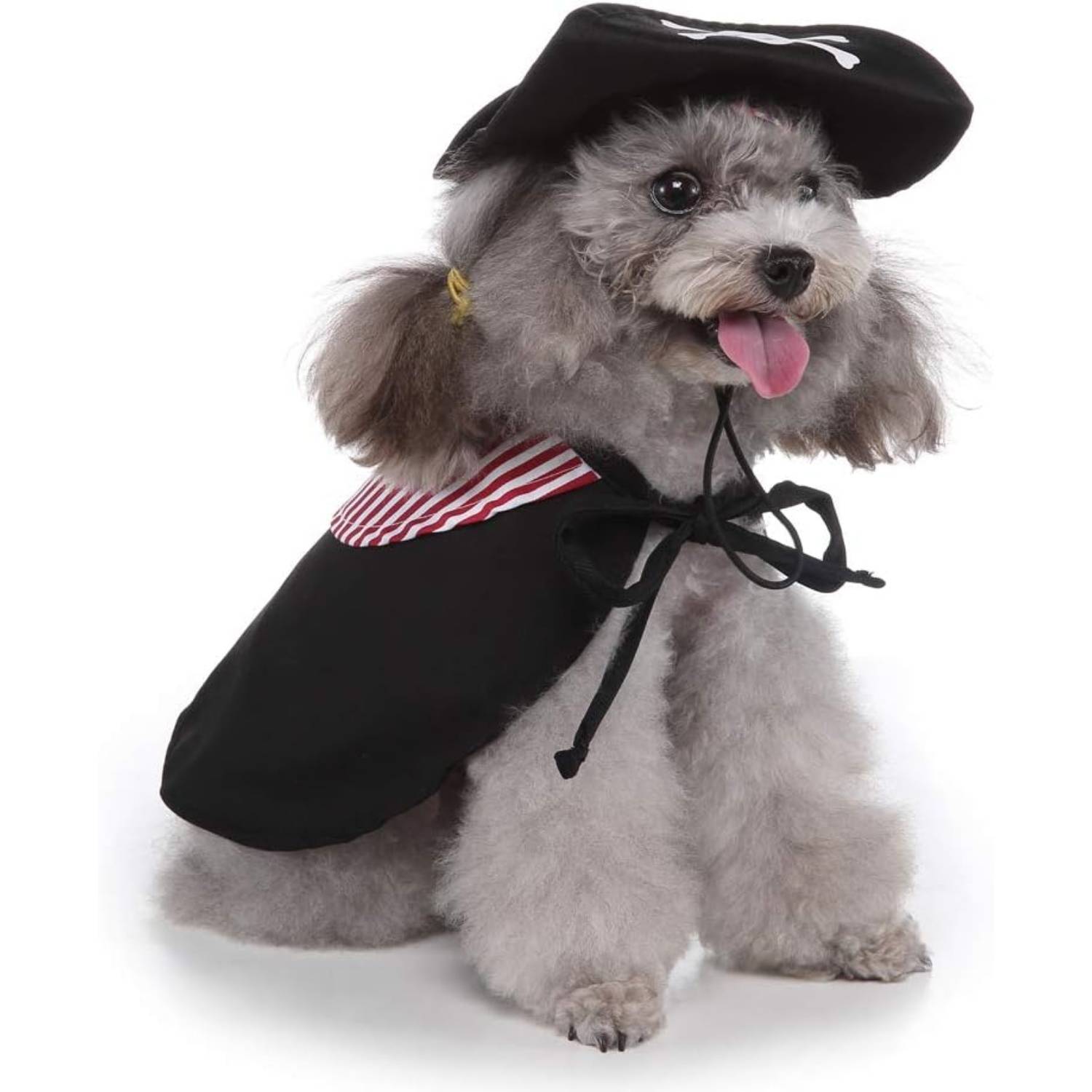 DtopbuyAge - Vêtement Halloween Noir pour Chien M DtopbuyAge - Image 4
