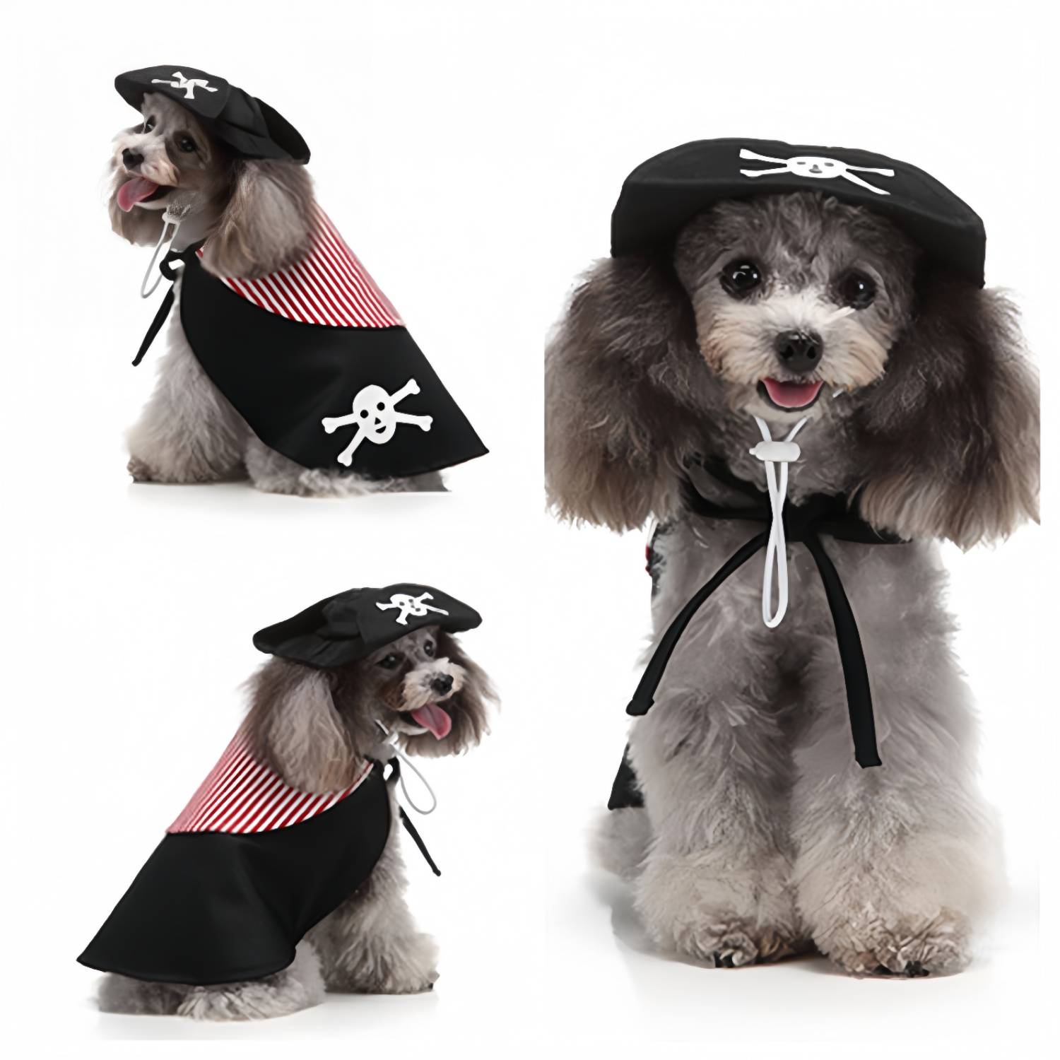DtopbuyAge - Vêtement Halloween Noir pour Chien M DtopbuyAge - Image 1