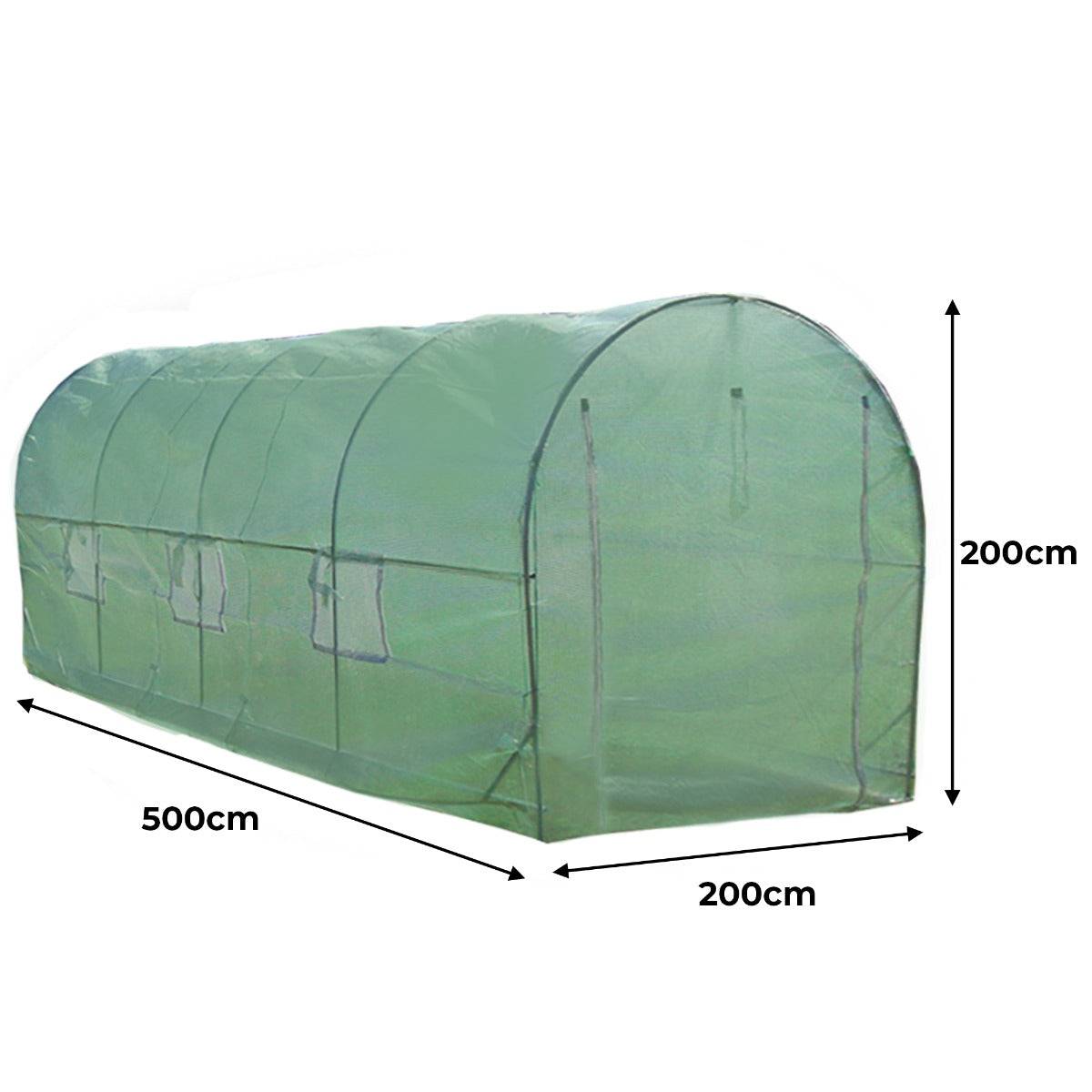 Monstershop - Serre Polytunnel 19mm 5m x 2m avec Étagères - Image 5