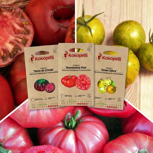 Tomates colorées - 3 sachets de graines bio à semer - Image 1