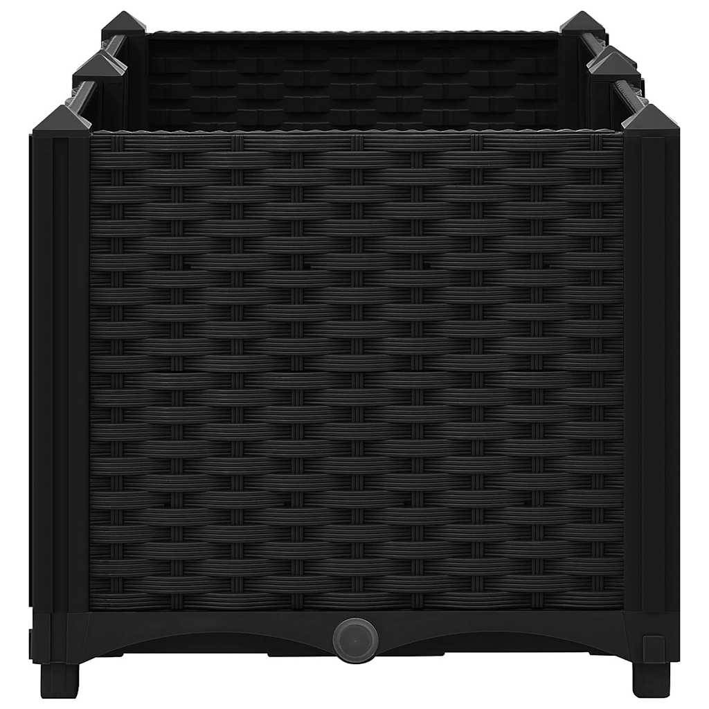 PANGIVO - Carré potager surélevé Polypropylène noir 80 x 40 x 38 cm - PANGIVO - Image 5