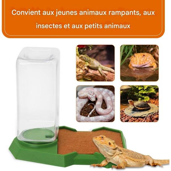 Distributeur D'Eau Automatiques Pour Reptiles - Lytech - Image 4
