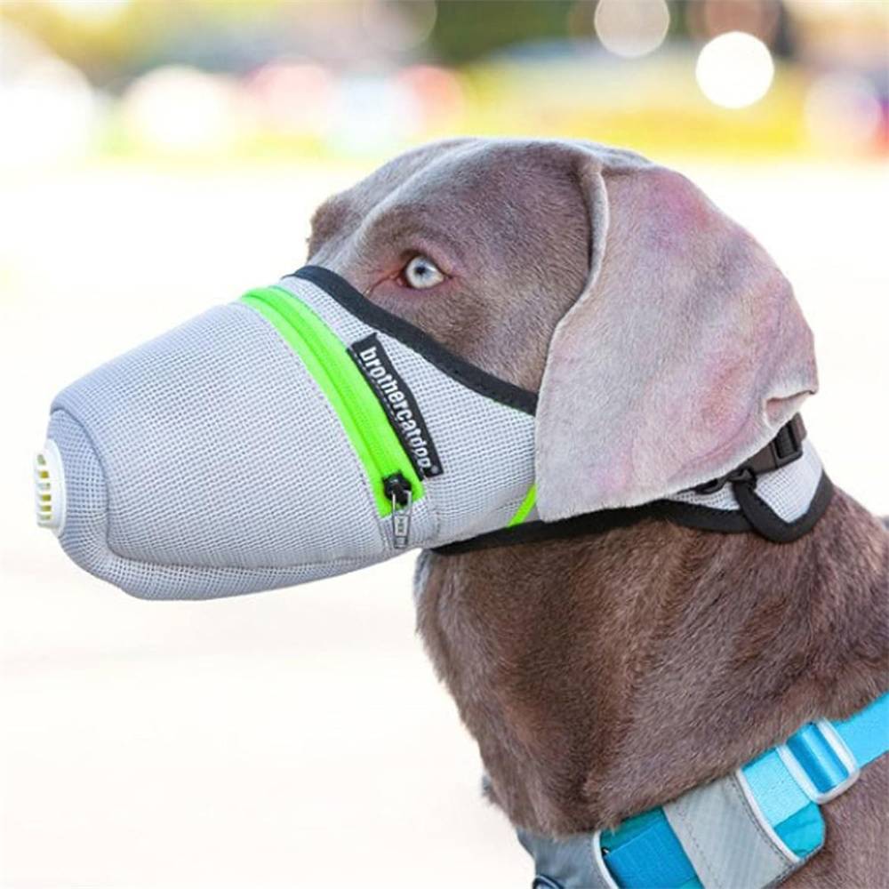Masque pour chien taille M DtopbuyAge - Image 5