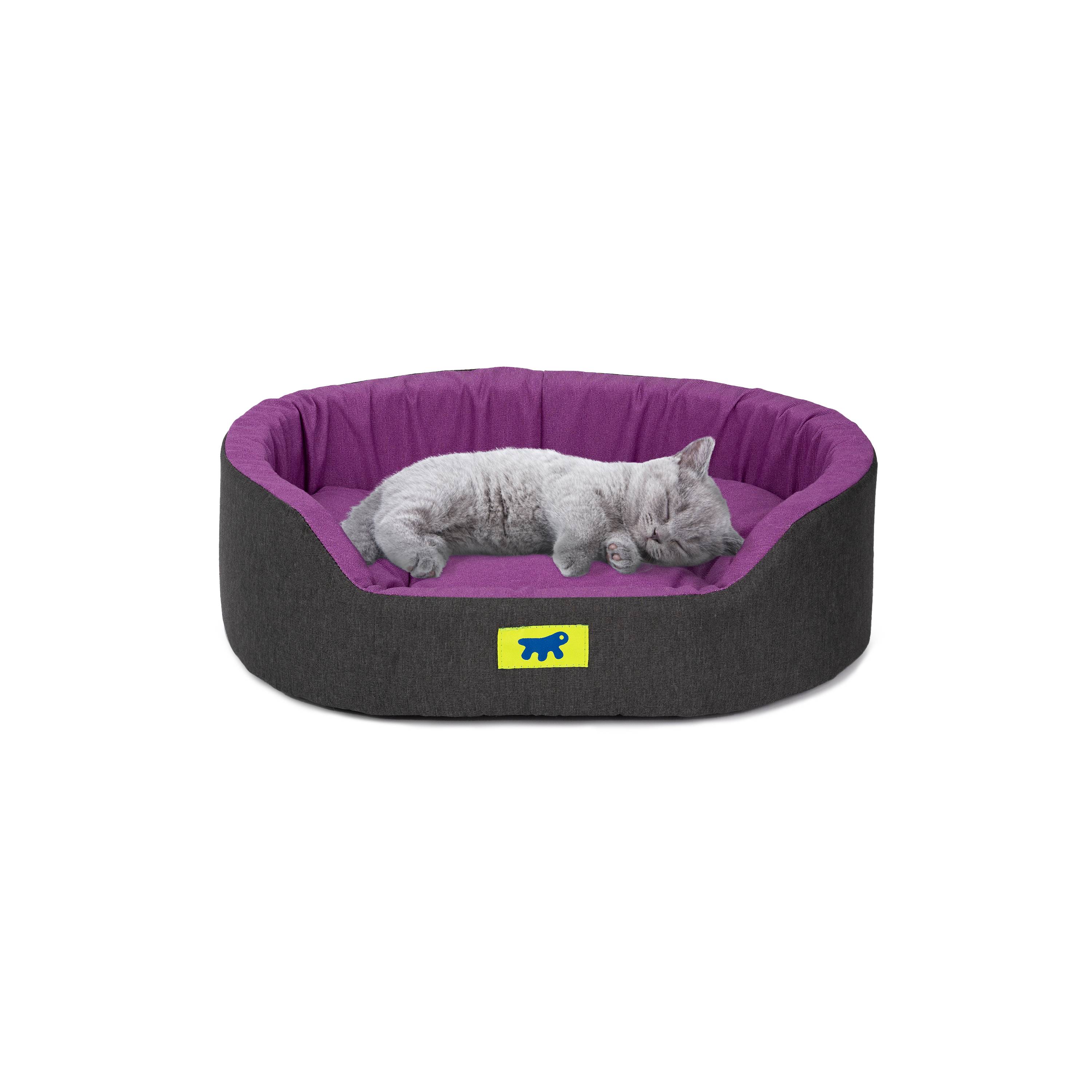 Ferplast - Ferplast Panier Chien Dandy, Coussin Amovible et Lavable, Housse en Coton avec Rembourrage Doux, Idéale également comme Niche pour Chat, 45 x 35 x H - Image 4