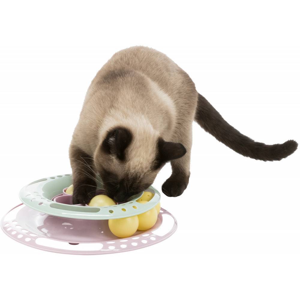 Trixie - Jeux pour chat Junior Kitten Circle, taille ø 24 cm - Image 2