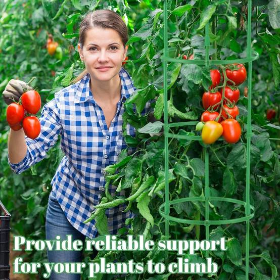 Tuteur pour plantes - 210 pièces hauteur ajustable pour tomates et fleurs - Lytech - Image 2