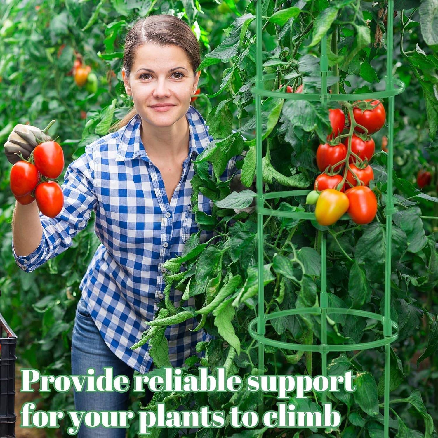 Tuteur pour plantes - 210 pièces hauteur ajustable pour tomates et fleurs - Lytech - Image 2