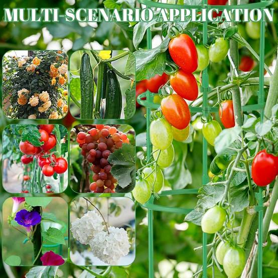 Tuteur pour plantes - 210 pièces hauteur ajustable pour tomates et fleurs - Lytech - Image 3