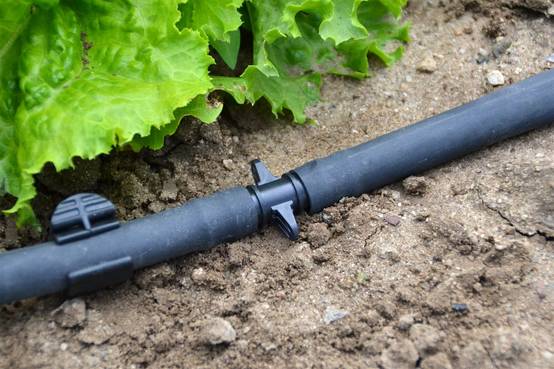 Jardibric - Jardibric - Jonction Goutte à Goutte Ø16 mm Lot de 5 - Raccord Droit Cannelé pour Tuyau Irrigation 16 mm - Image 2