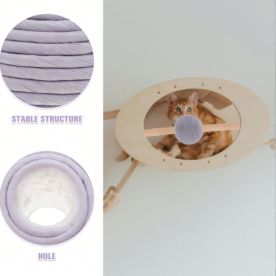 Cat Scratch Interactive Pet Toy for Indoor Cats Fun for Exercise Relief DtopbuyAge - Image 5