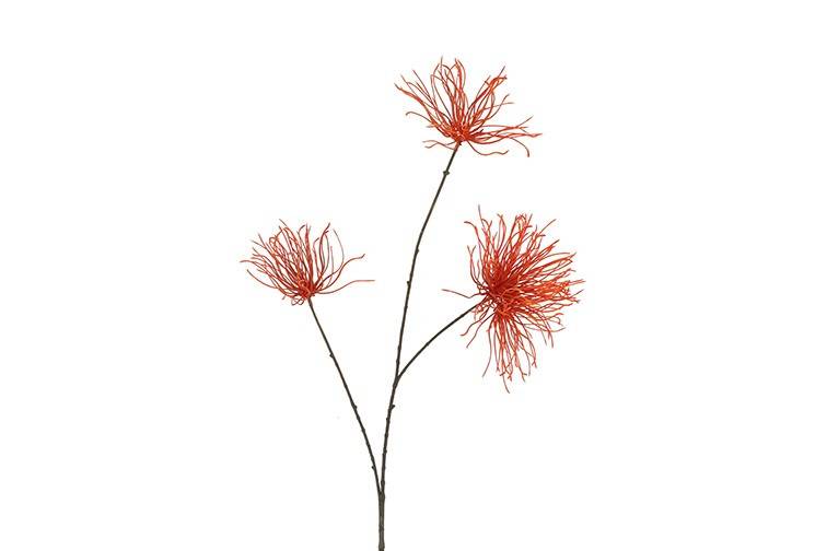 Fleur Grevillea S orange-13x24x94CM