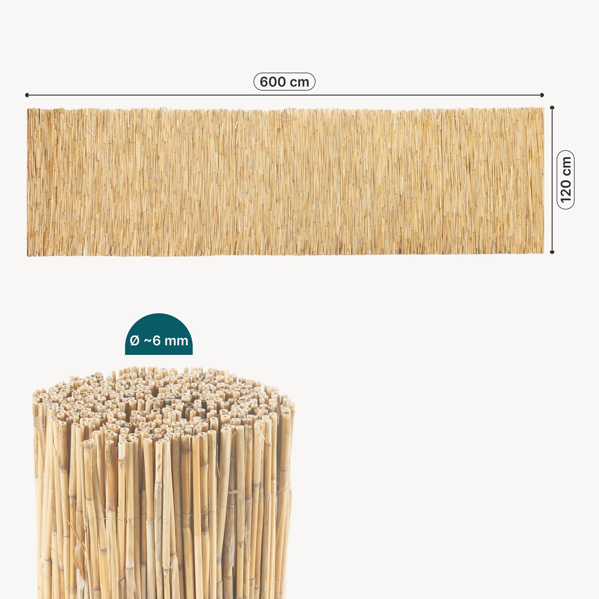 Casa.Pro - Canisse en roseau Abbateggio 120 x 600 cm naturel casa.pro - Image 8