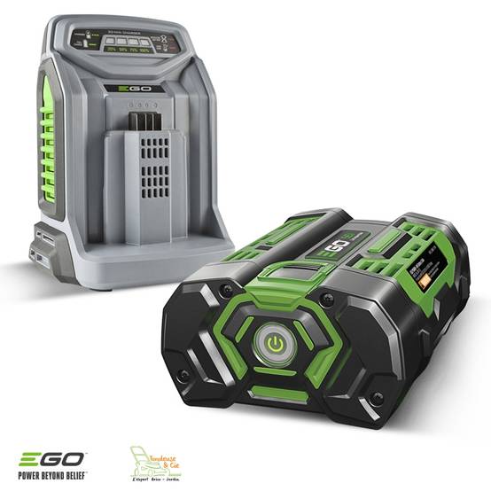 Pack élagage entretien arbres et haies avec moteur chargeur batterie 56v Egopower - Image 7
