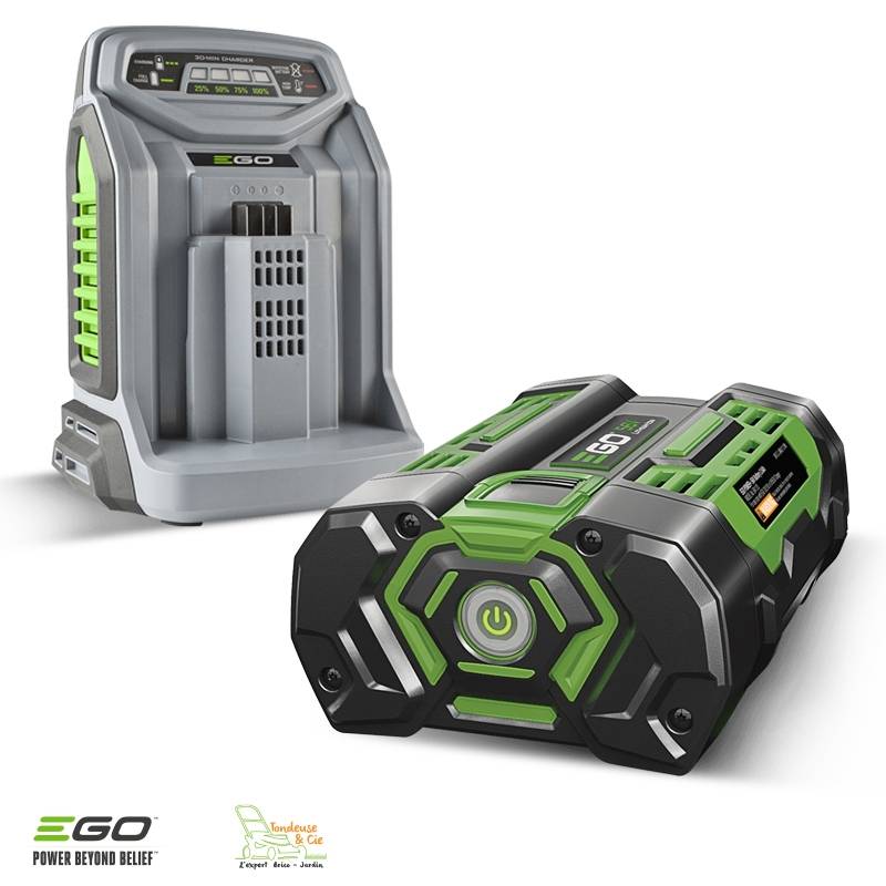 Pack élagage entretien arbres et haies avec moteur chargeur batterie 56v Egopower - Image 7