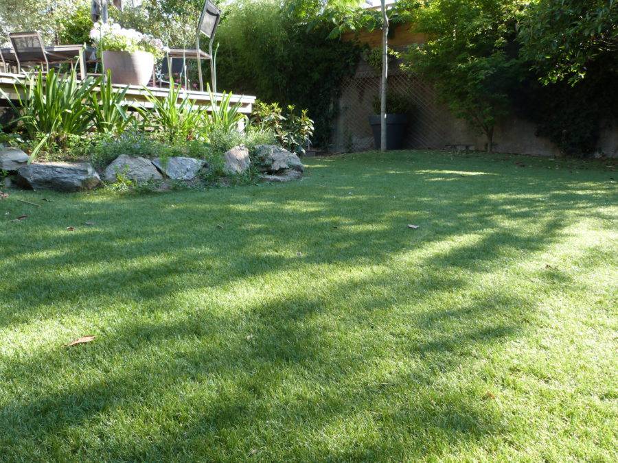 Bogazon Gazon synthétique Gaïa 45 mm (4 m x 22 m) | Pelouse Premium ...