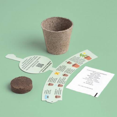 Kit de culture premières récoltes - Fraises - Image 1