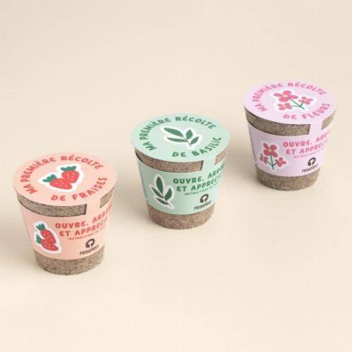 Kit de culture premières récoltes - Fraises - Image 2