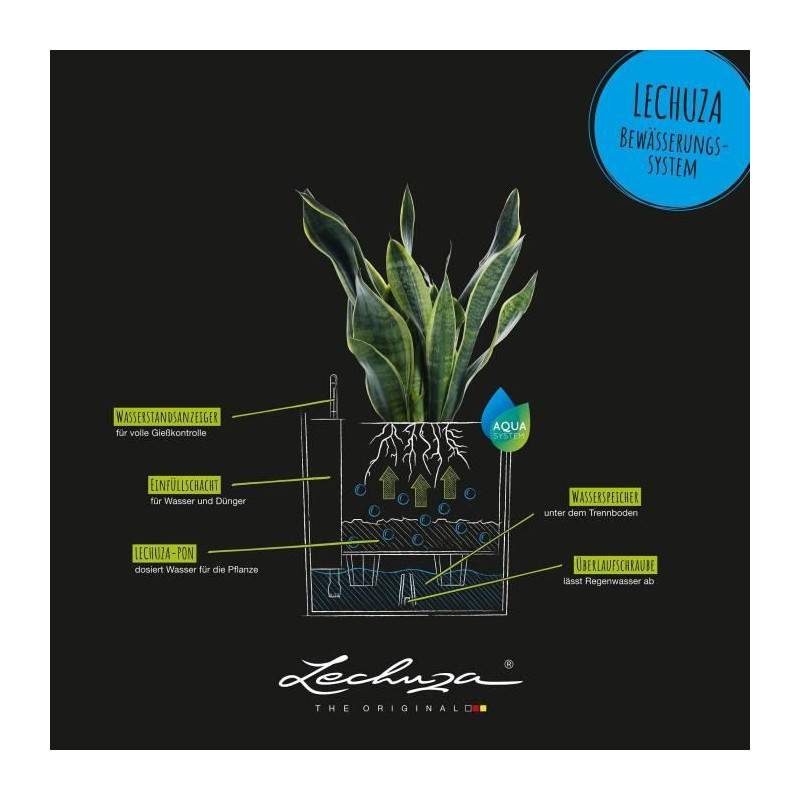Lechuza - Pot De Fleur Lechuza Cube Cottage 50 - Kit Complet, Noir Graphite - Image 4