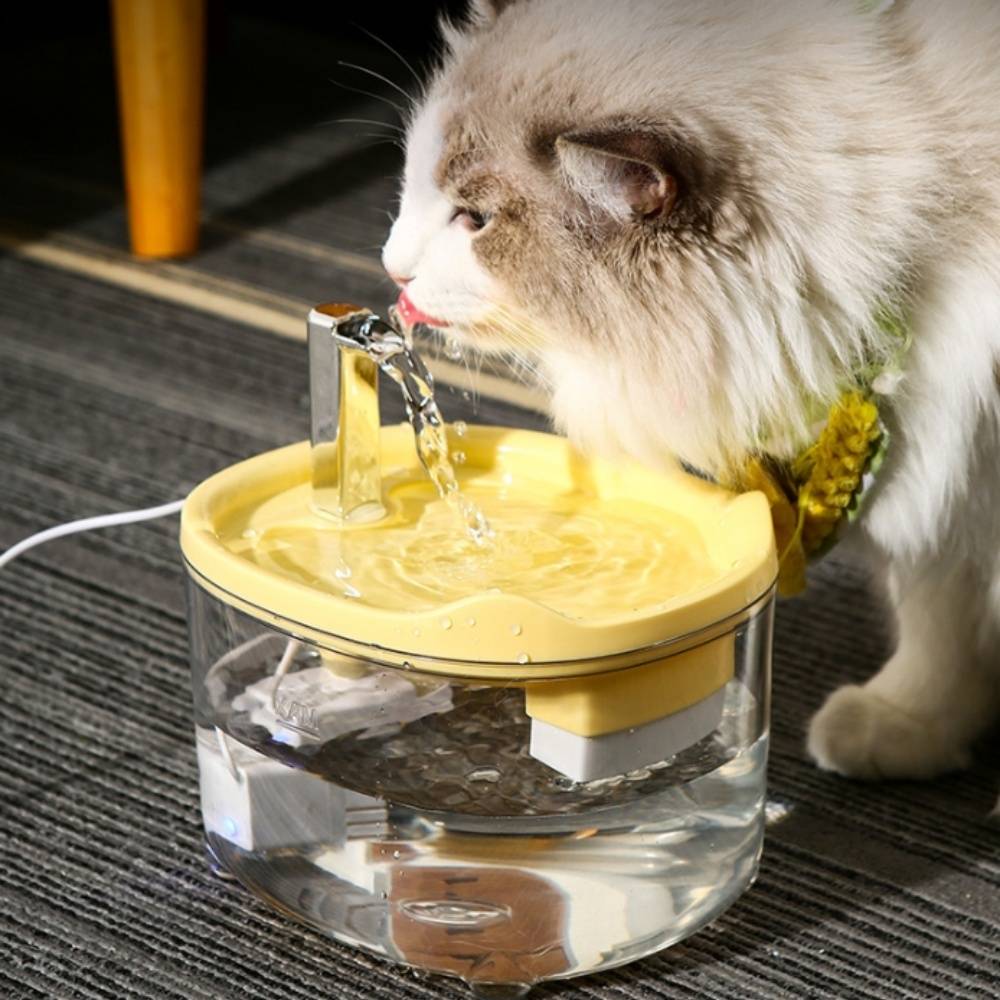 IntiMeg - Fontaine à eau automatique pour chats et chiens 1,5 L IntiMeg（Ne comprend pas le distributeur d'eau） - Image 7