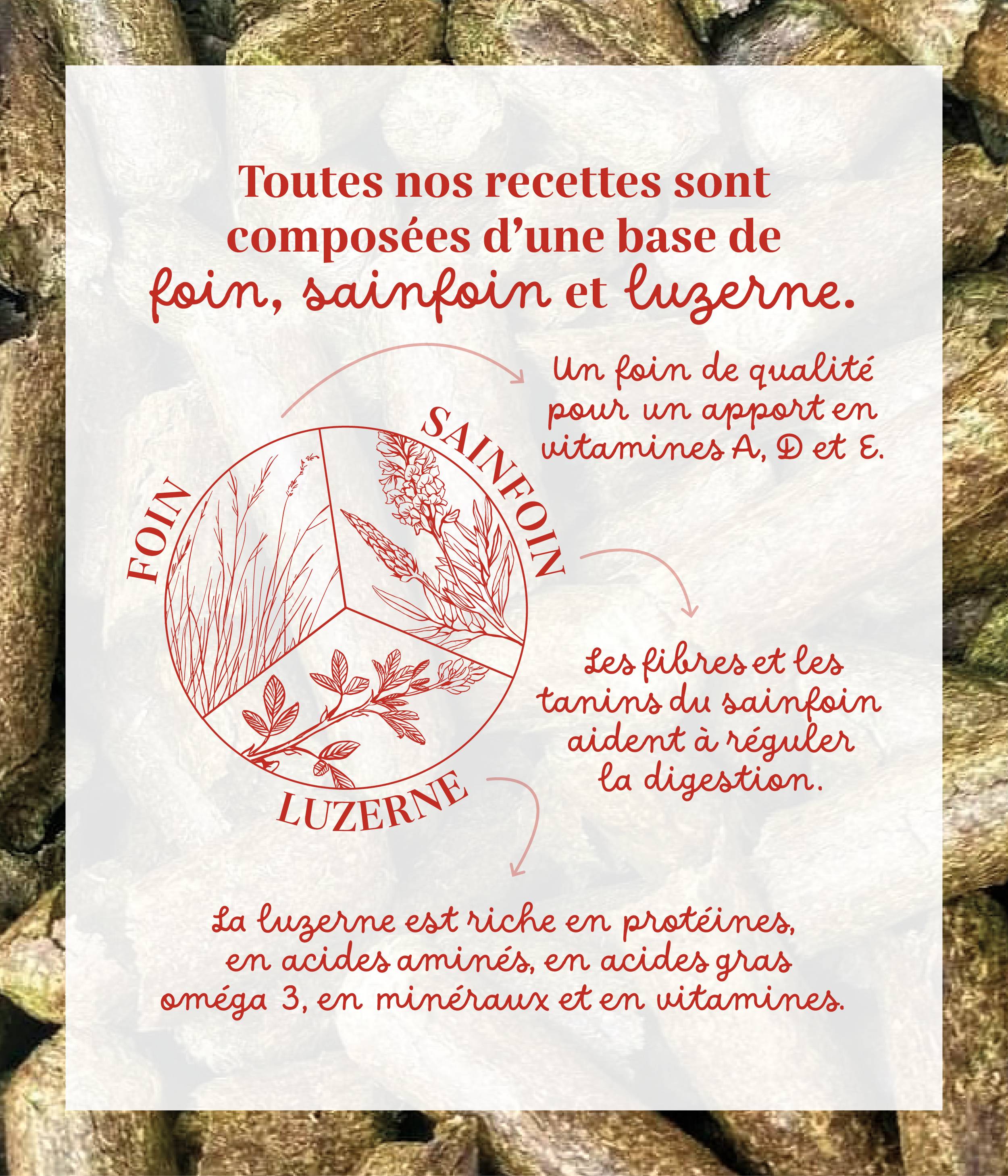 Friandises naturelles chevaux - Fruits rouges / Pomme - 1,5kg - Image 4