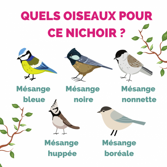 Esschert Design - Nichoir oiseau en forme de ruche - Esschert Design - Image 5