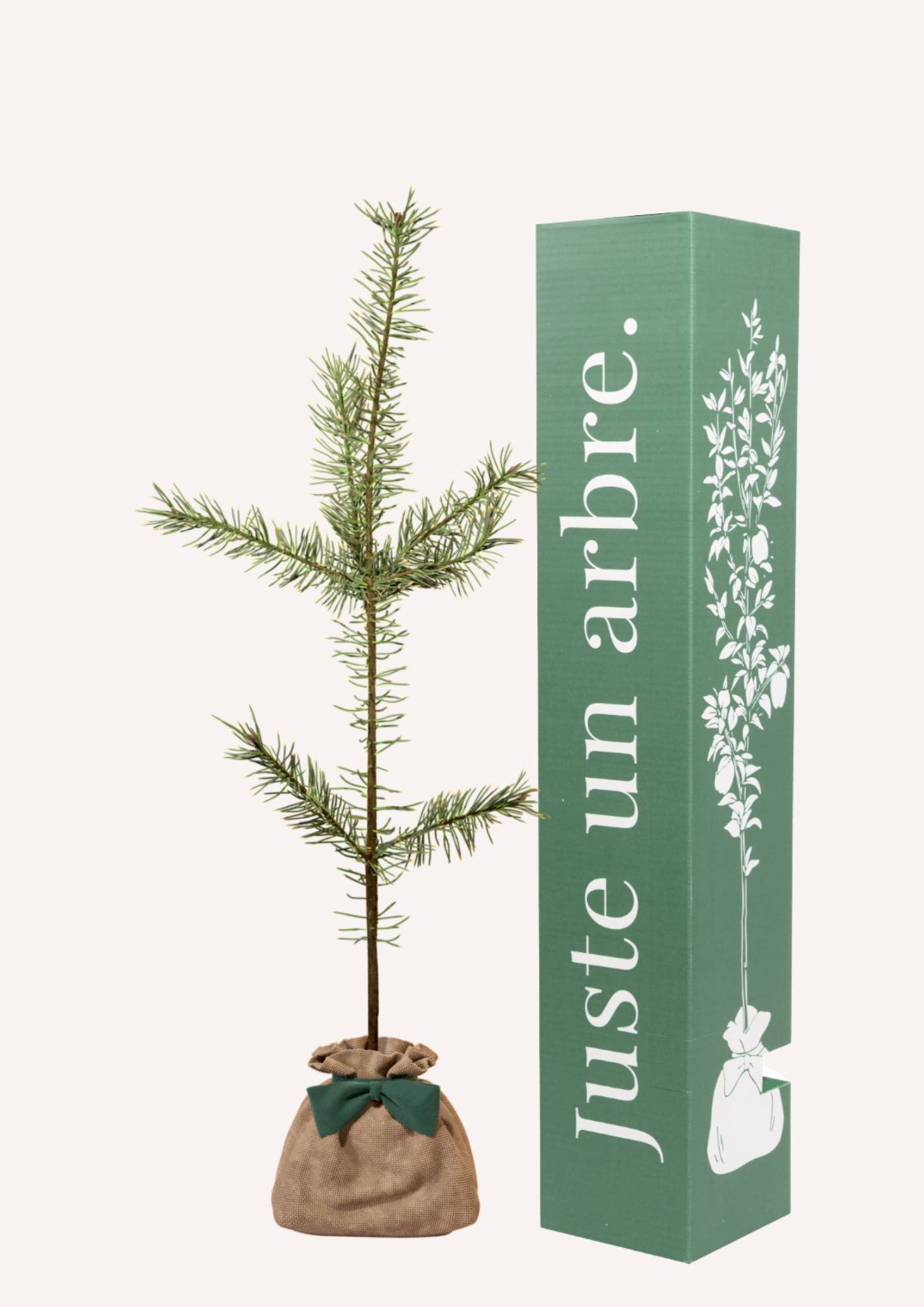 JUSTE UN ARBRE. – Pin sylvestre | Idée cadeau durable pour naissance, mariage, anniversaire – Conifère robuste pour grands jardins. - Image 1