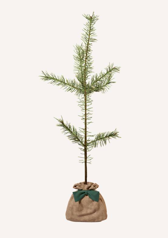 JUSTE UN ARBRE. – Pin sylvestre | Idée cadeau durable pour naissance, mariage, anniversaire – Conifère robuste pour grands jardins. - Image 3