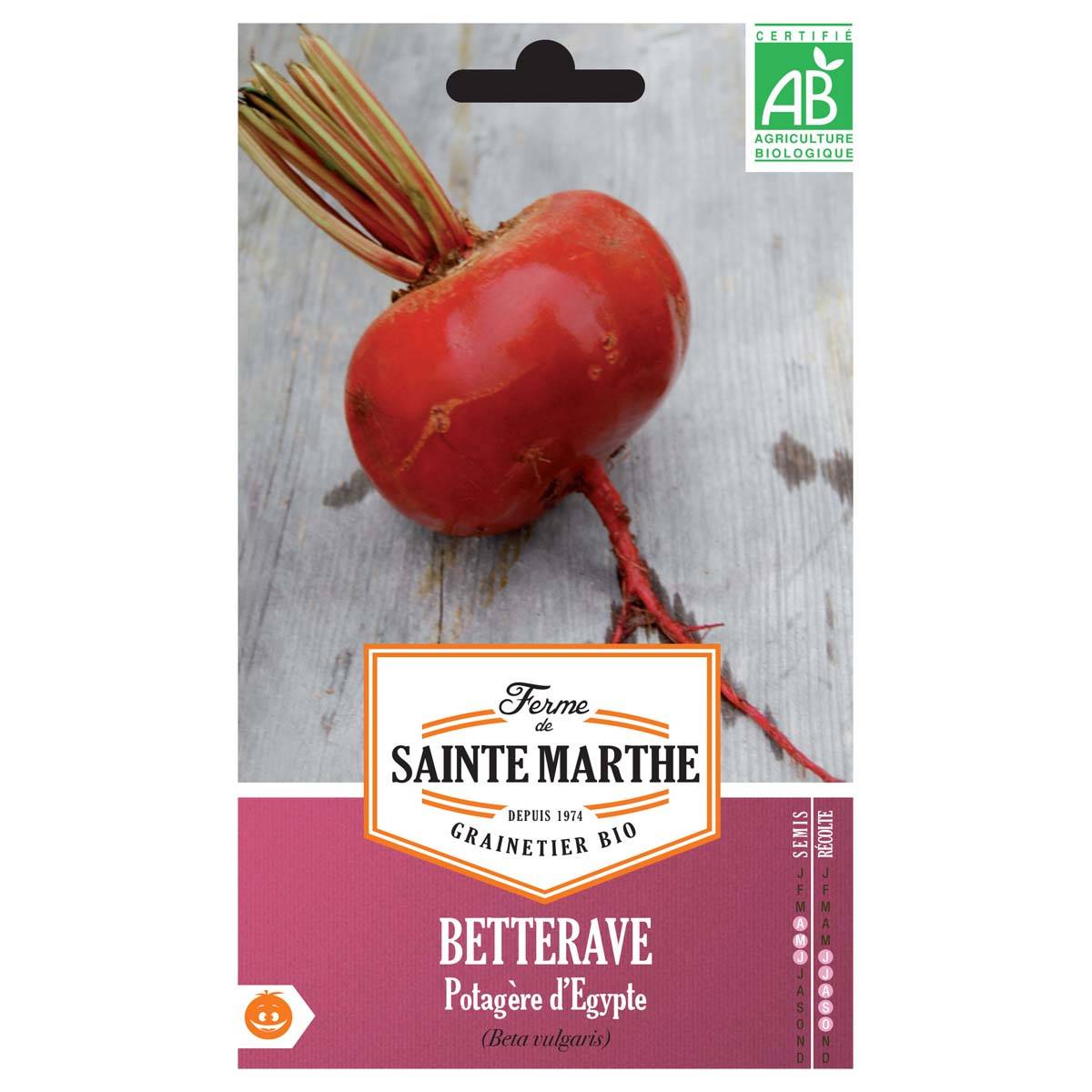 Promesse de Fleurs - Betterave potagère d'Egypte - Bio - Ferme de Sainte Marthe le sachet de 130 graines environ (4g)