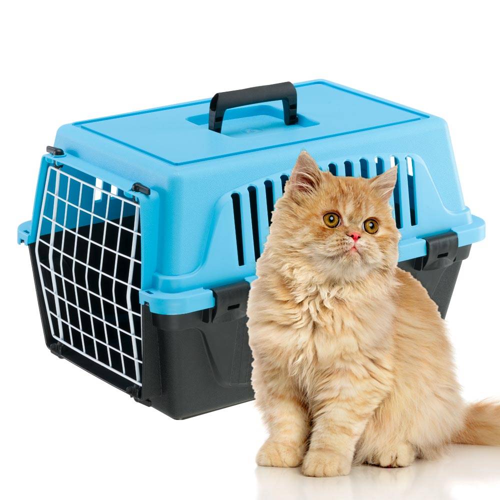 Ferplast - Ferplast Caisse de Transport Chat, Cage de Transport pour Chiens Petits et Chats jusqu'à 5 Kg, Porte en Fer Plastifié, Fentes d'aération, 32,5 x 48 x - Image 7