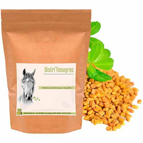 Fenugrec 100% Naturel Cheval, Prise de masse - 500g - DistriHorse33 - Image 1
