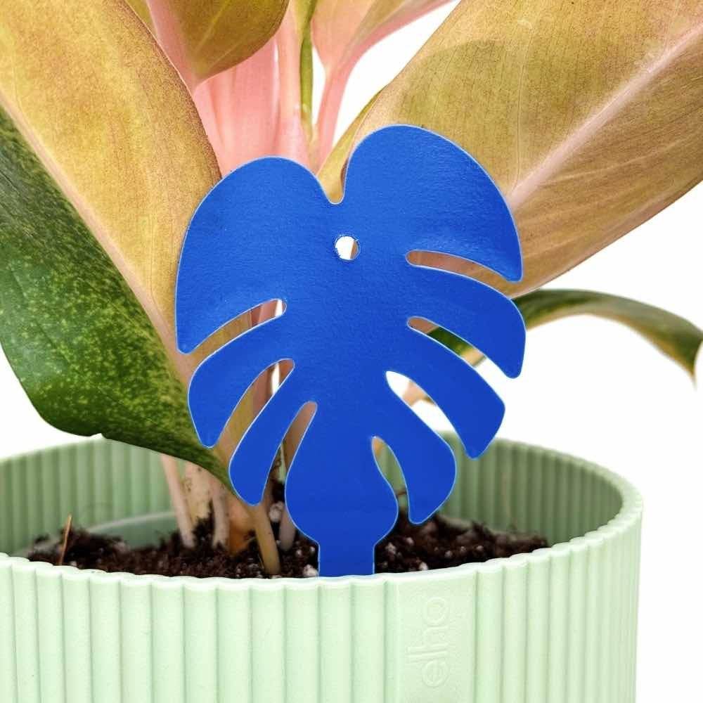 OFFRE DUO - Pièges bleus Anti-thrips + Pièges Jaunes Anti-mouches de terreau - Pièges chromatiques englués - Image 10