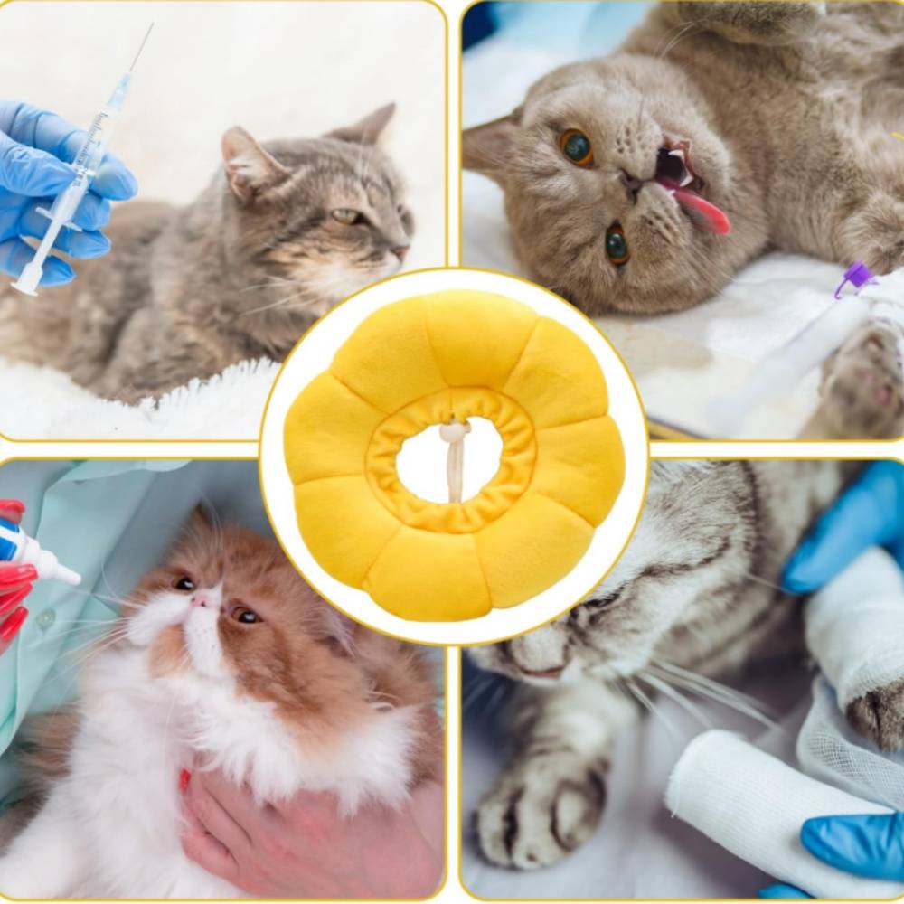 IntiMeg - Collier anti-léchage en forme de tournesol pour chat et chien IntiMeg - Image 7