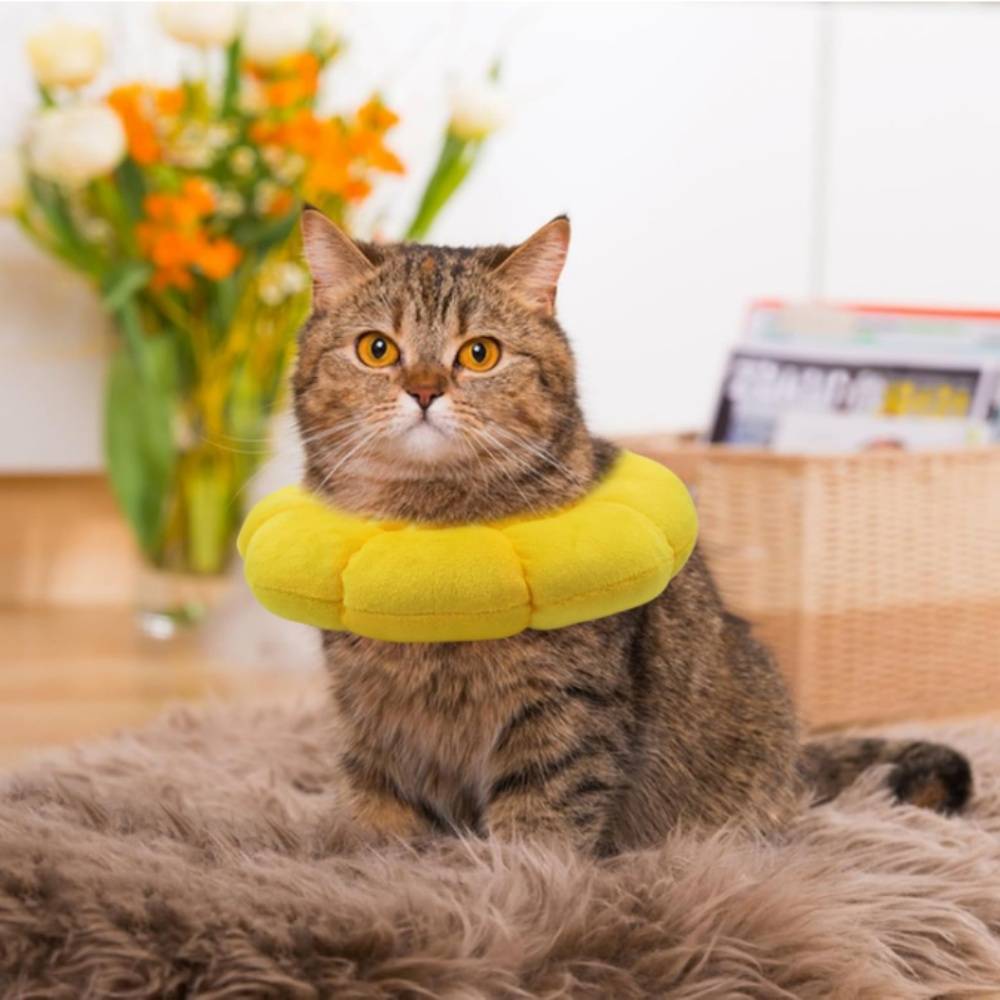 IntiMeg - Collier anti-léchage en forme de tournesol pour chat et chien IntiMeg - Image 6