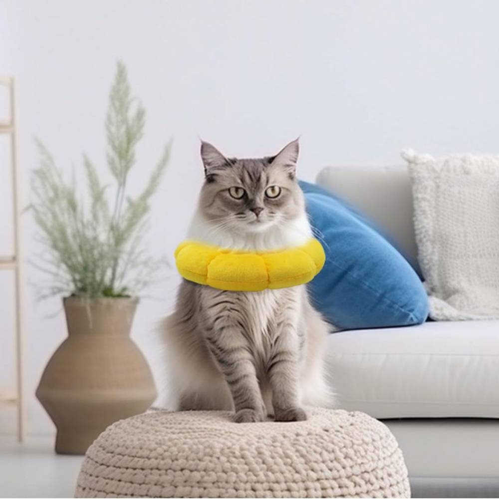 IntiMeg - Collier anti-léchage en forme de tournesol pour chat et chien IntiMeg - Image 8