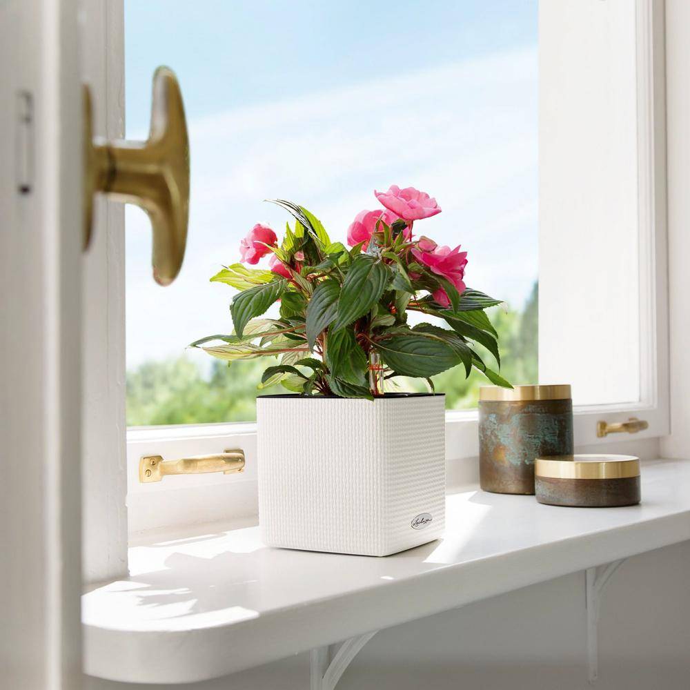 Lechuza - CUBE Color 16 - Kit Complet, blanc 16 cm Lechuza - Image 3