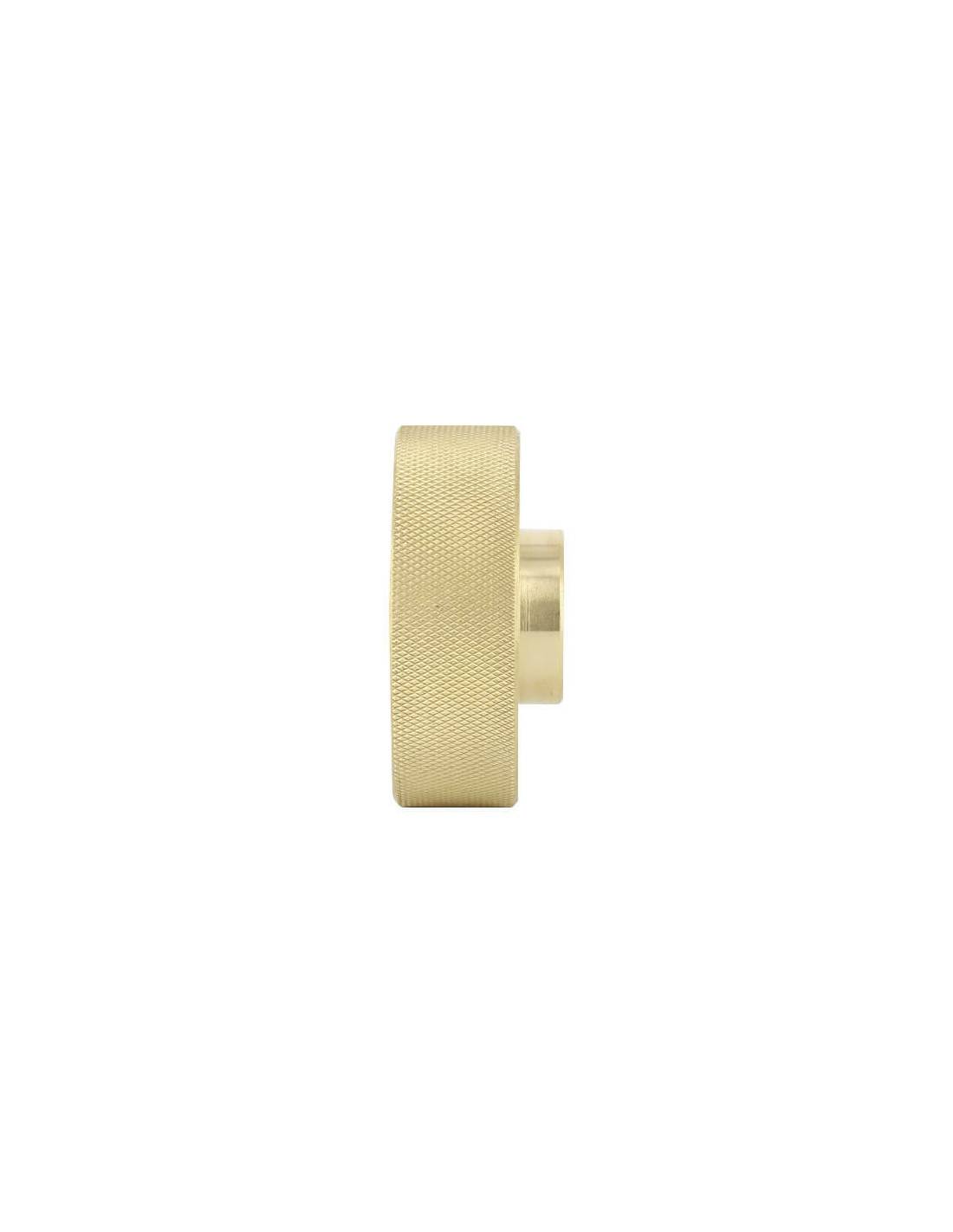 Bouchon S60X6 Laiton avec épaulement - Femelle 3/4'' - Image 4