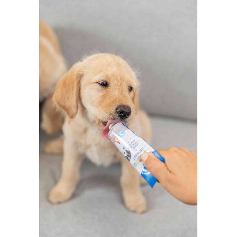 Trixie - Trixie - Junior Pâté de foie tube de 75 g pour chiots - Image 3