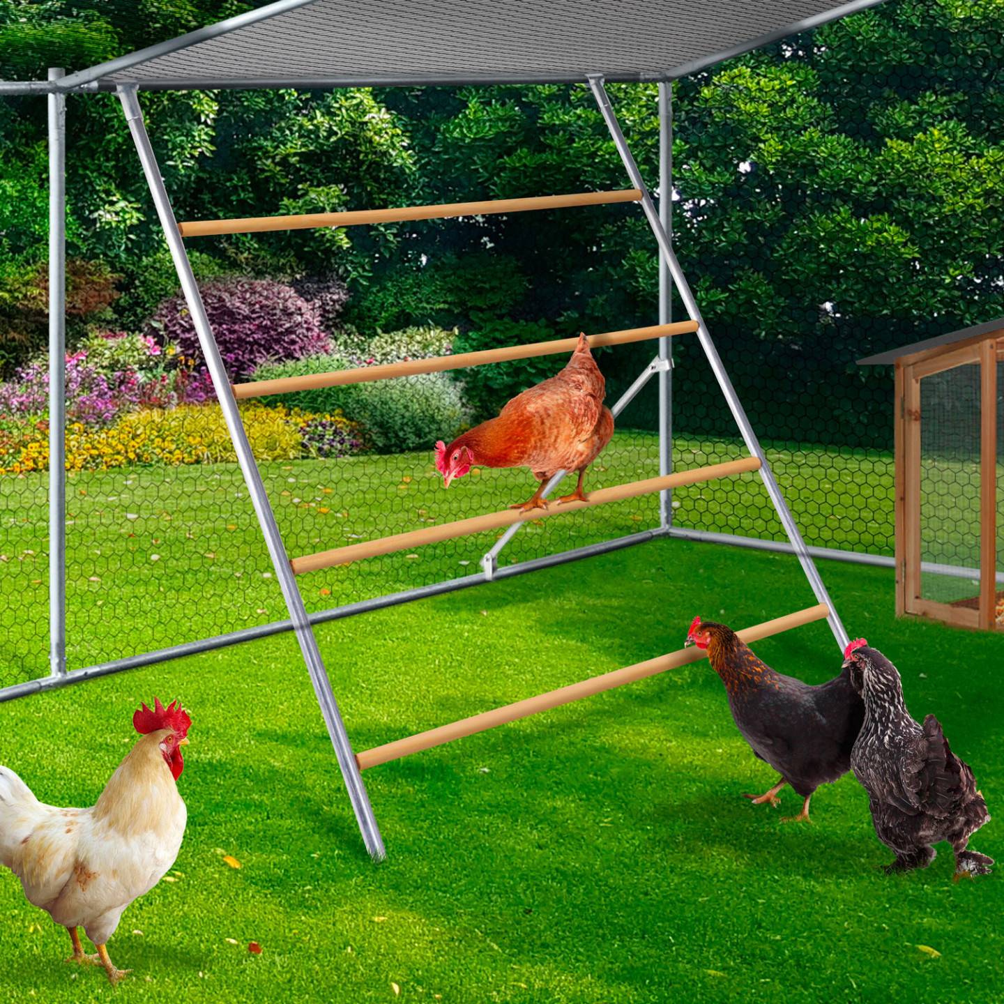 Enclos poulailler 12 m² 4x3 M avec grand perchoir 4 niveaux en bois acier galvanisé - Image 4