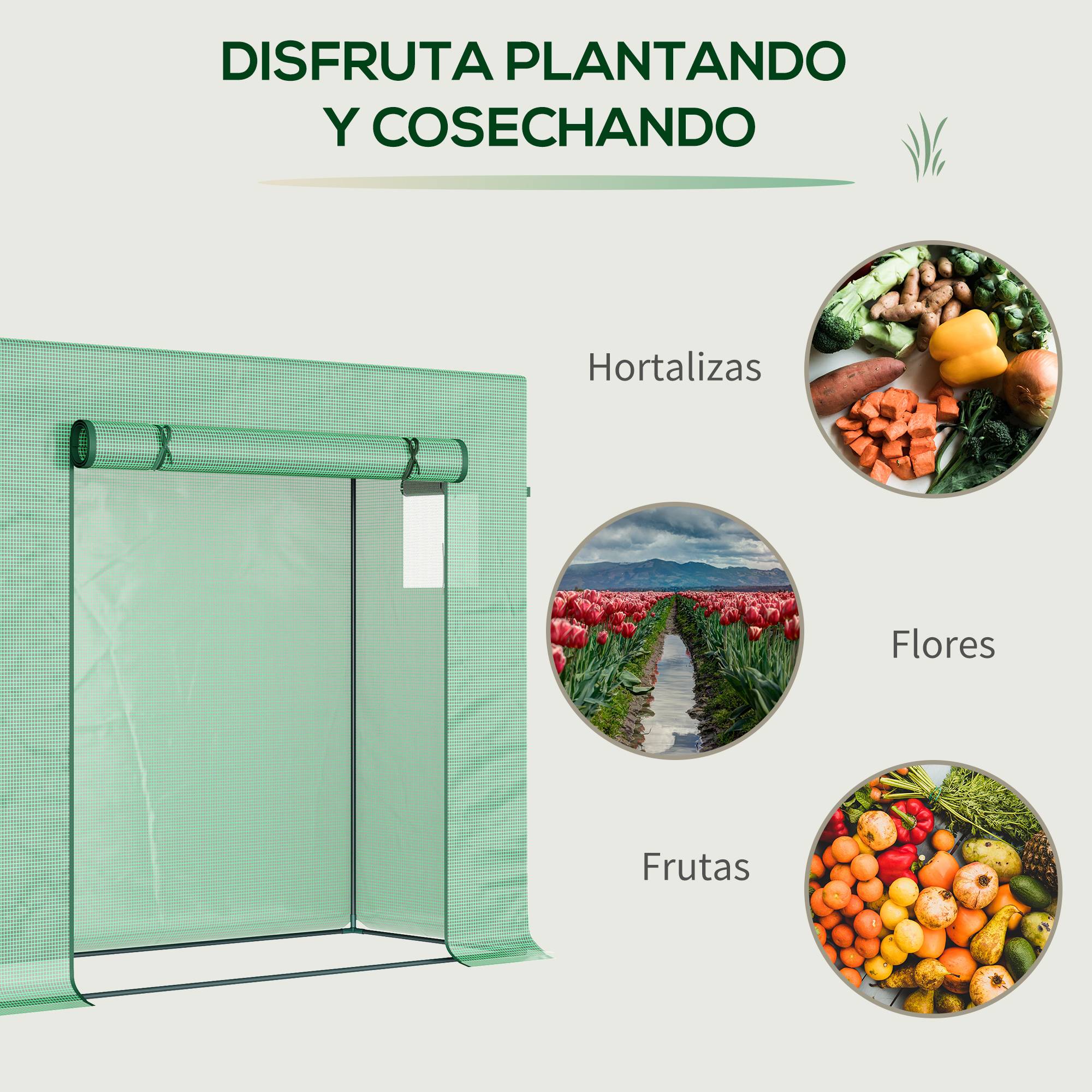 Serre de Jardin Acier pour Tomates et Fleurs avec Porte Enroulable 200x76x168 cm Vert - ComfortXL Outdoor Living - Image 9