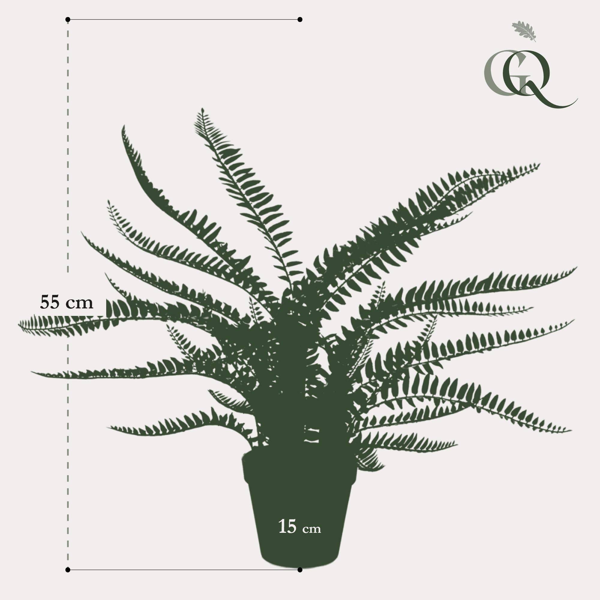 La Green Touch - Fougère de Boston plante artificielle - h55cm, Ø15cm- La Green Touch - Image 5