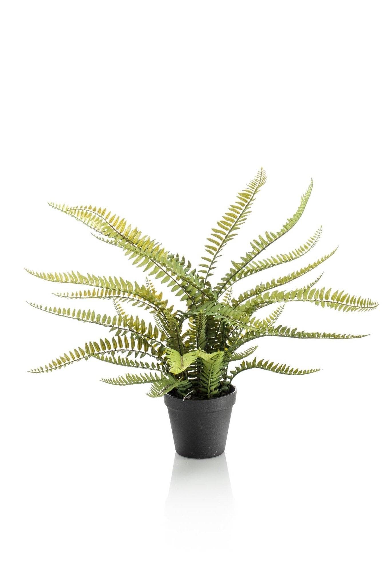 La Green Touch - Fougère de Boston plante artificielle - h55cm, Ø15cm- La Green Touch - Image 1