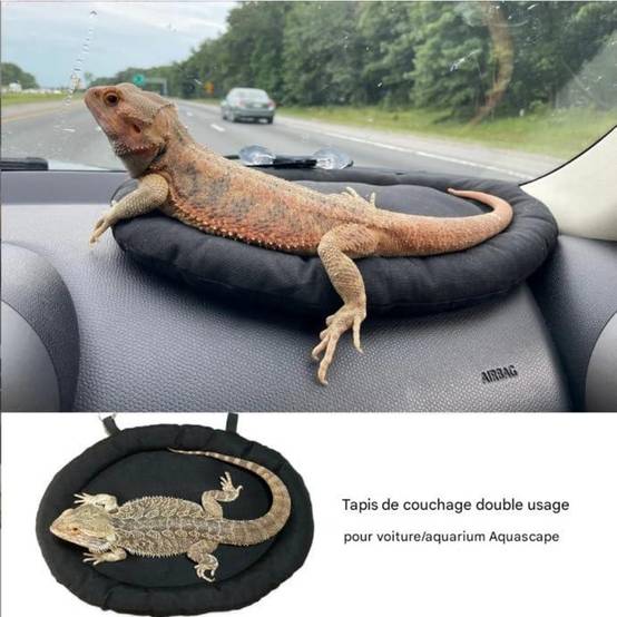 Lit pour dragon barbu DtopbuyAge - Image 2