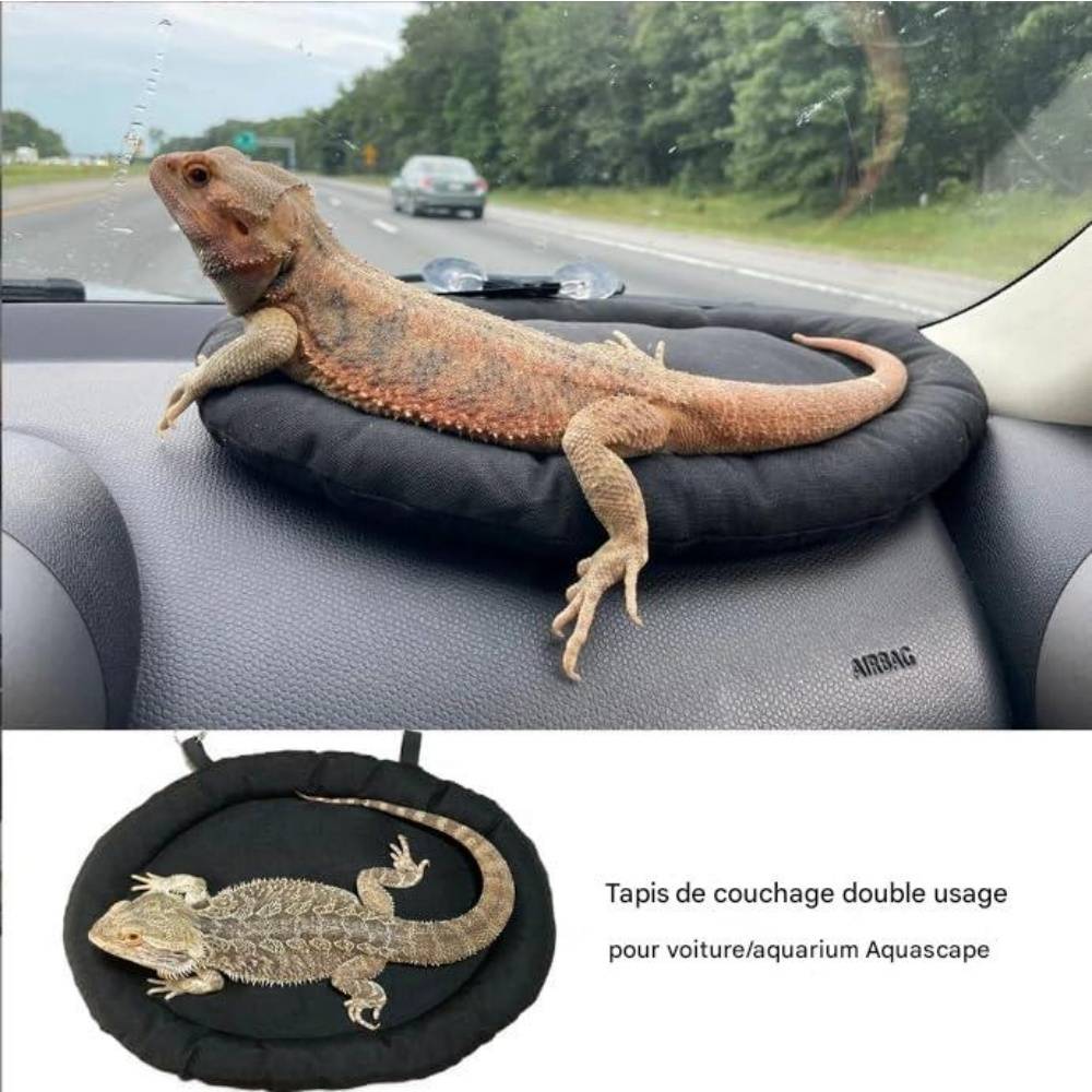 Lit pour dragon barbu DtopbuyAge - Image 2