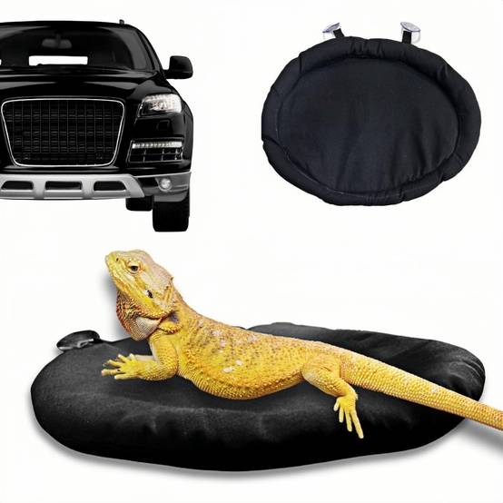 Lit pour dragon barbu DtopbuyAge - Image 1