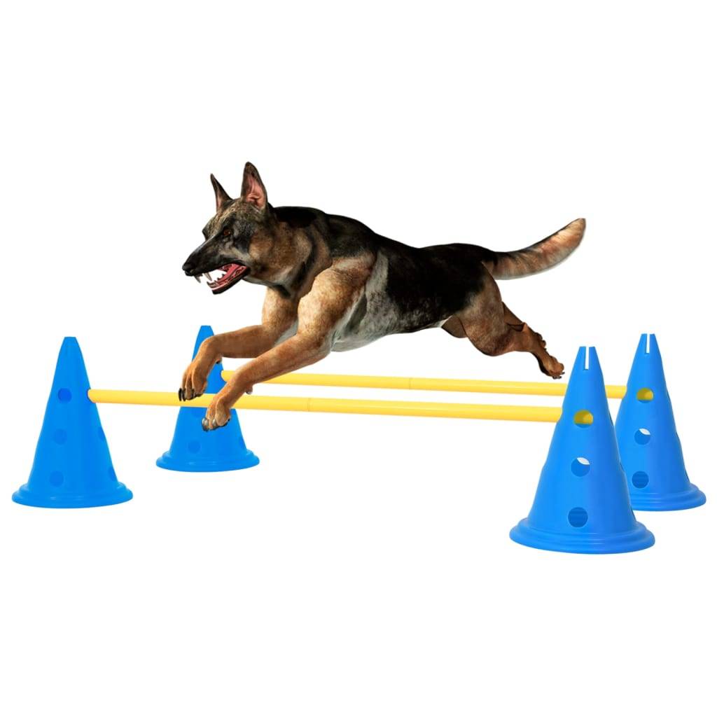 Vidaxl - Ensemble d'obstacles d'activité pour chien Bleu et jaune vidaXL 150952 - Image 1