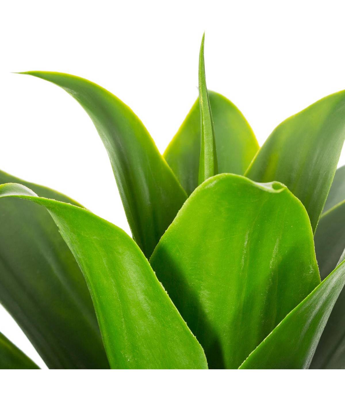 Atmosphera - Plante artificielle Aloe vera en pot H 34 cm - Image 2