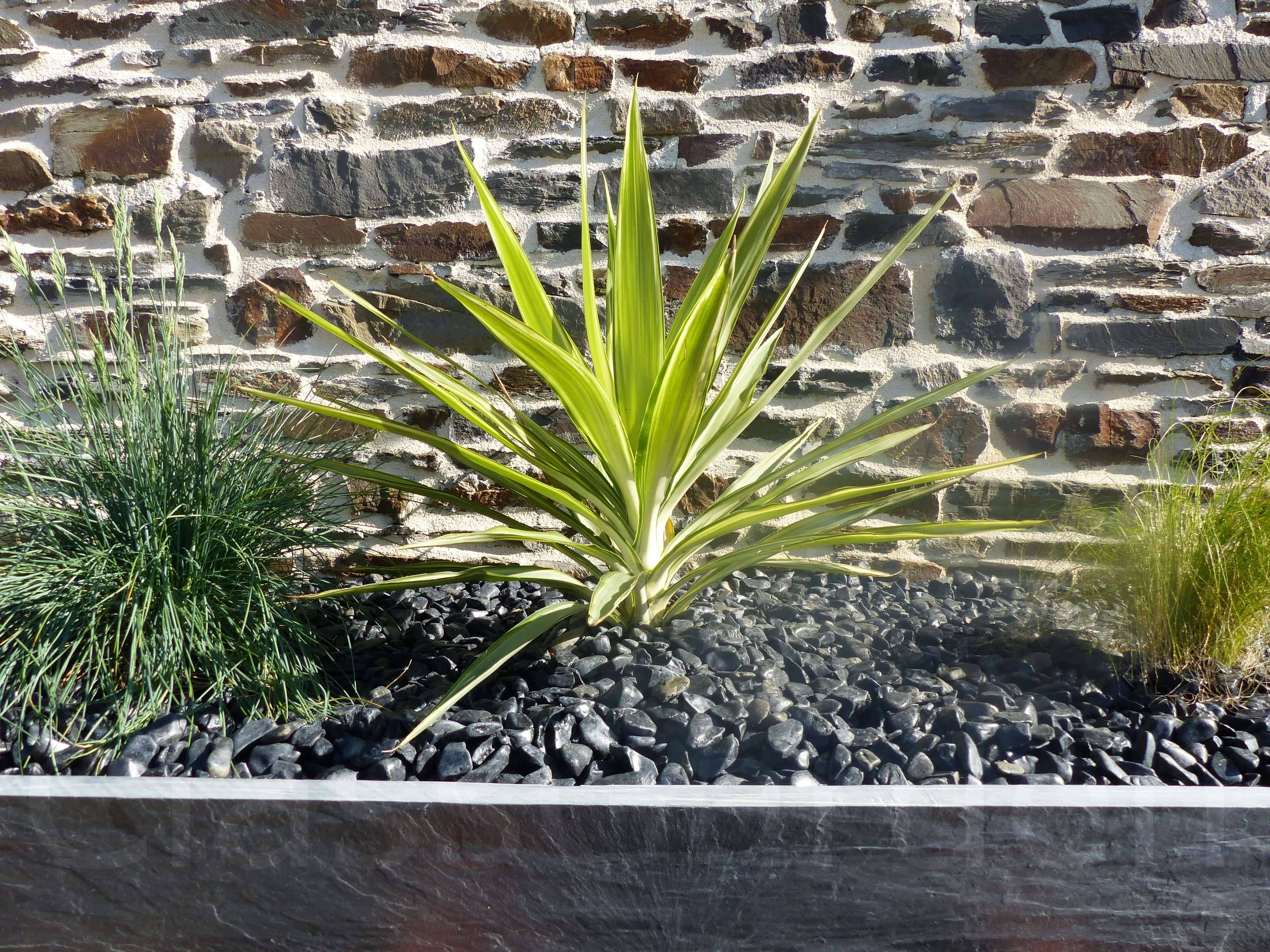 Bordure Ardoise 100 cm - Pack de 16 pièces - Image 3