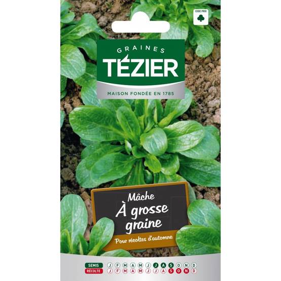 Tezier - Mâche à grosse graine - Image 1